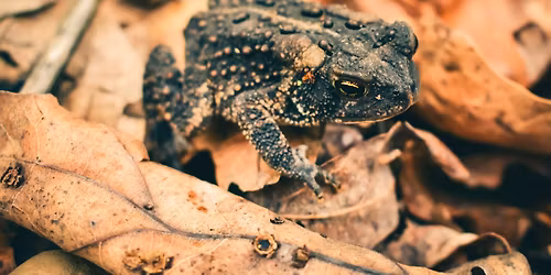 Volunteer Day \u2013 Hampton Nature reserve