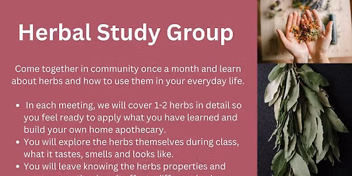 Herbal Study Group with Cora Rose