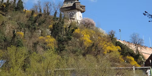 Kr\u00e4uter, Rarit\u00e4ten und mediterrane Pflanzen am Grazer Schlo\u00dfberg