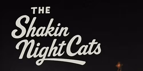 The Shakin NightCats p\u00e5 kroa \ud83c\udfb8\ud83c\udf99\ufe0f