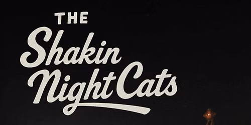 The Shakin NightCats p\u00e5 kroa \ud83c\udfb8\ud83c\udf99\ufe0f
