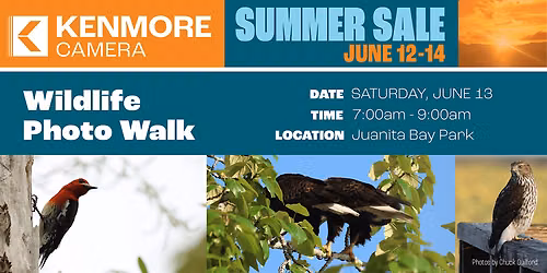 Juanita Bay Park Wildlife Photo Walk