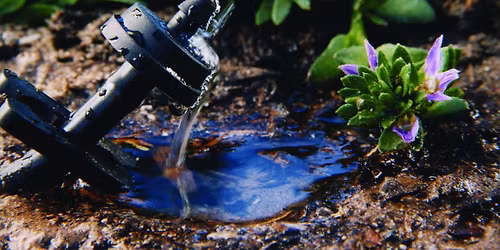 Free Class: Drip Irrigation