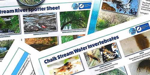 Chalk Stream Challenge Teacher & Leader Briefing