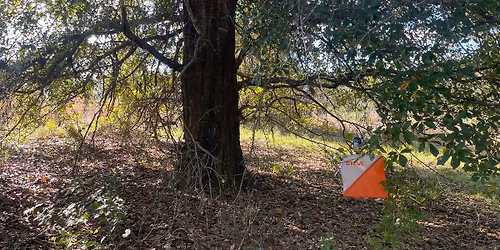 Orienteering Live Event: SILVER SPRINGS State Park