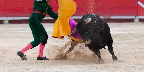 Bullfighting Madrid 2026 - Corrida de rejones Tickets