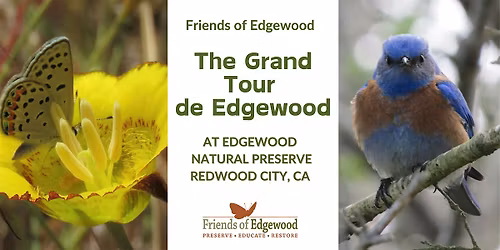 Special "Grand Tour de Edgewood" Hike at Edgewood Natural Preserve