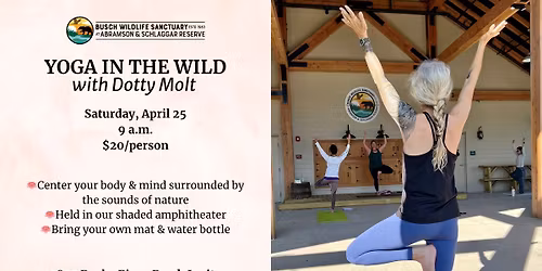 Yoga in the Wild