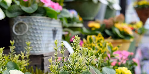 Spring Planter Workshop