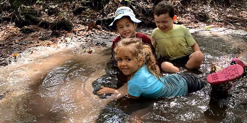 TimberNook: Sensory Adventures