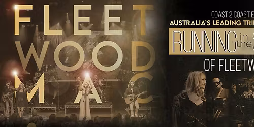 Fleetwood Macs Running in the Shadows