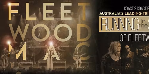 Fleetwood Macs Running in the Shadows