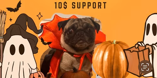 Nick & Alina Wedding Social