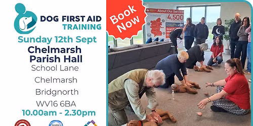 Bridgnorth Dog First Aid Training - \ud83d\udc9d\ud83d\udc3e