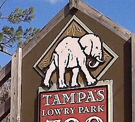 Tampa Tropics & Animal Antics at ZooTampa