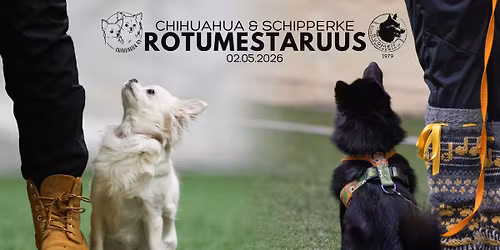 Schipperke & Chihuahua Rally-Toko Rotumestaruus