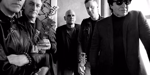 The Chameleons - Victorie Alkmaar