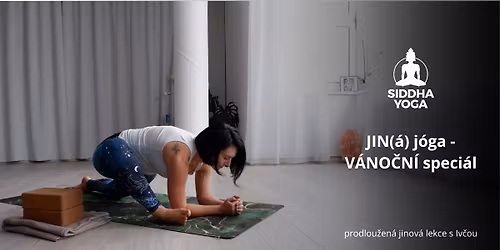 JIN(\u00e1) j\u00f3ga - V\u00c1NO\u010cN\u00cd speci\u00e1l