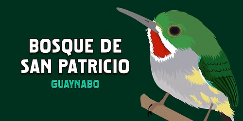 ME GUSTAN LAS AVES: BOSQUE DE SAN PATRICIO
