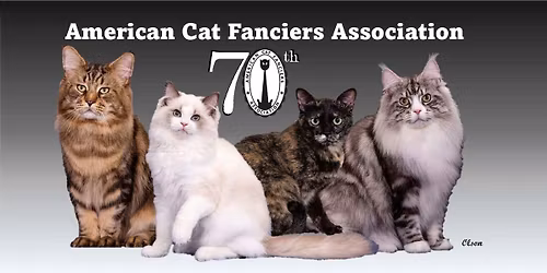 CAT SHOW -  CROWN POINT, IN