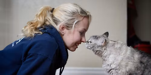 BC SPCA Careers and Volunteer Fair