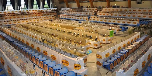 62. Westdeutsche Junggefl\u00fcgelschau 2026 in Hamm