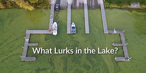 What Lurks in the Lake? Making Sense of 2025 Harmful Algal Bloom Data