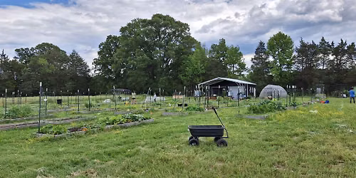 Vegetable Garden Guardians: Pest, Disease & W**d Walk