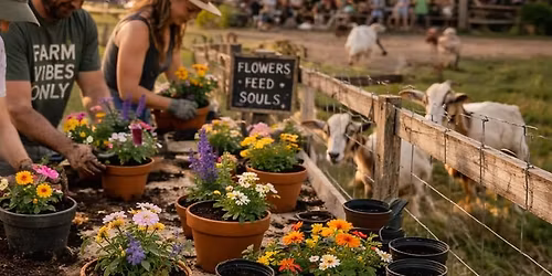 Pots & Petals for Mother's Day