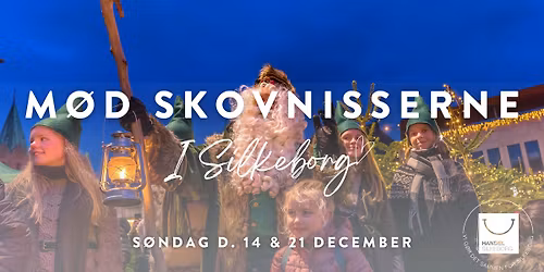 M\u00f8d de drilske Skovnisser