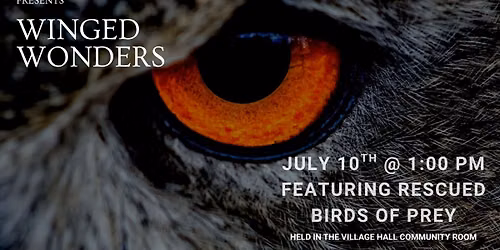 Winged Wonders
