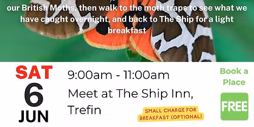Moth Breakfast!