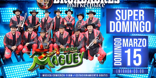 SUPER DOMINGO \u2014 Banda Maguey y Banda Diamante Azul