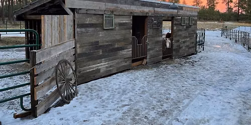 Horse Camp !