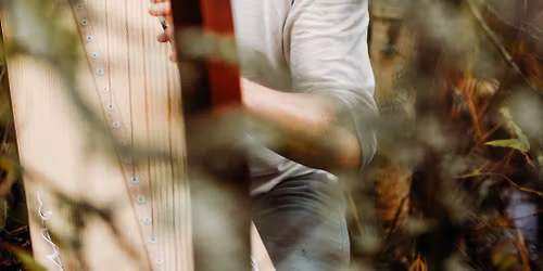 Rentouttava harppukonsertti, Tampereella