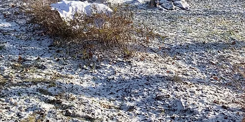 Christmas in the Park-community meal and mobile missions