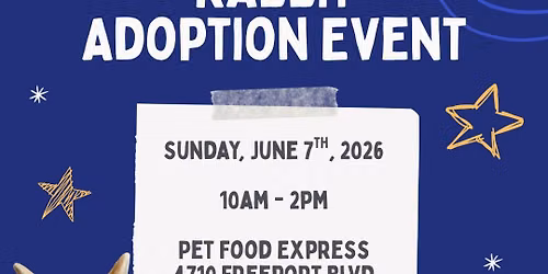 Rabbit Adoption Event 
