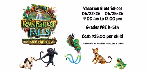 Rainforest Falls VBS