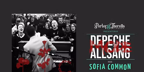 DEPECHE MODE ALLS\u00c5NG AGAIN!