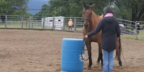 Spring Flowers Obstacle Challenge