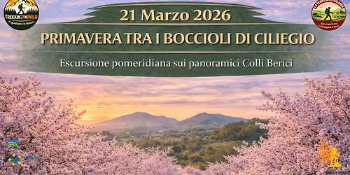 Primavera tra i boccioli di ciliegio