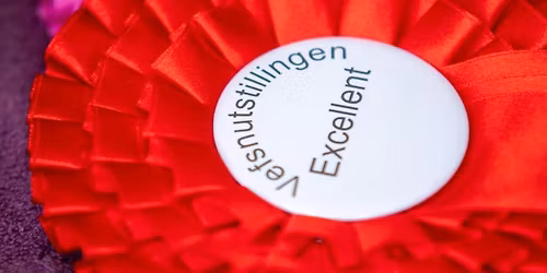VEFSNUTSTILLINGEN 2026