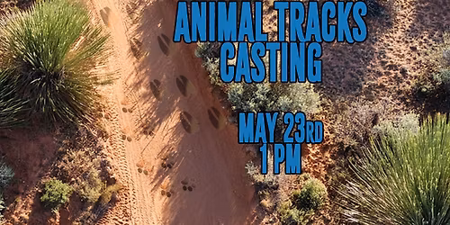 Animal Tracks Casting