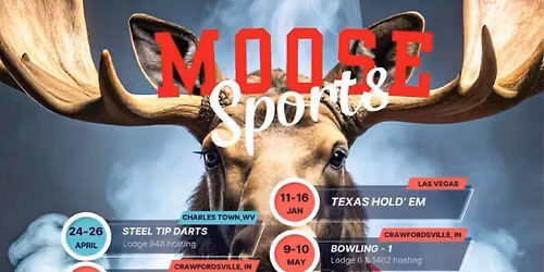 Moose International Soft Tip Darts 