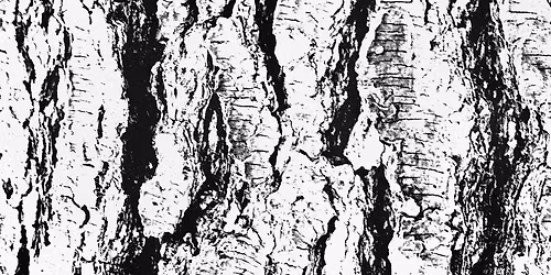 L\u2019Affaire Makropoulos