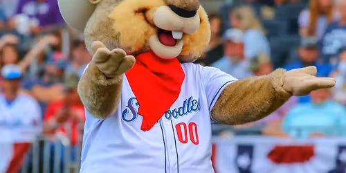 Midland Rockhounds at Amarillo Sod Poodles at Hodgetown