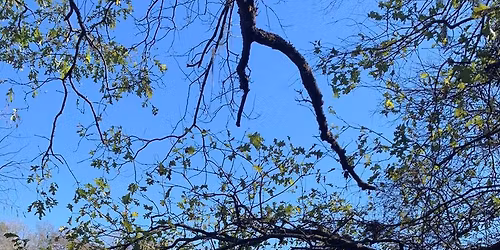 Bird Survey and Nature Hike