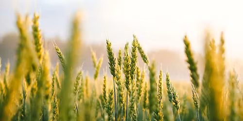 Writer's Breakfast: Dr. Linda Ray Hall-Searight - I Am God's Property