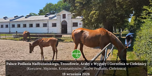 Pa\u0142ace Podlasia Nadbu\u017ca\u0144skiego, Teozofowie, Araby z Wygody i Gorzelnia w Ciele\u015bnicy