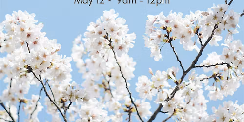 Spring Reset!